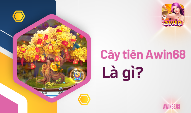 Cây tiền Awin68 là gì?