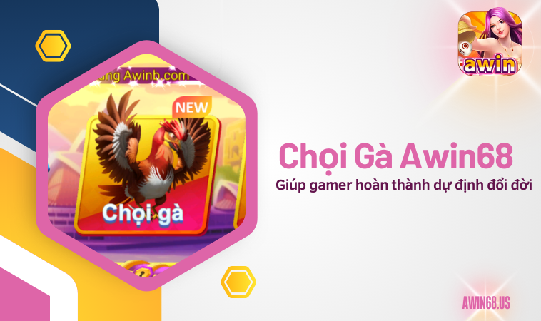 Chọi Gà Awin68 giúp gamer hoàn thành dự định đổi đời